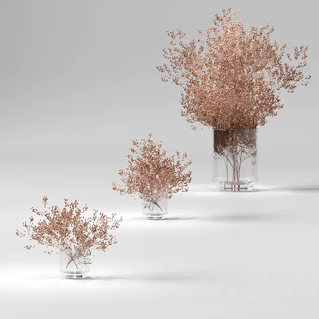 Dry plants set. 3 models Free Download