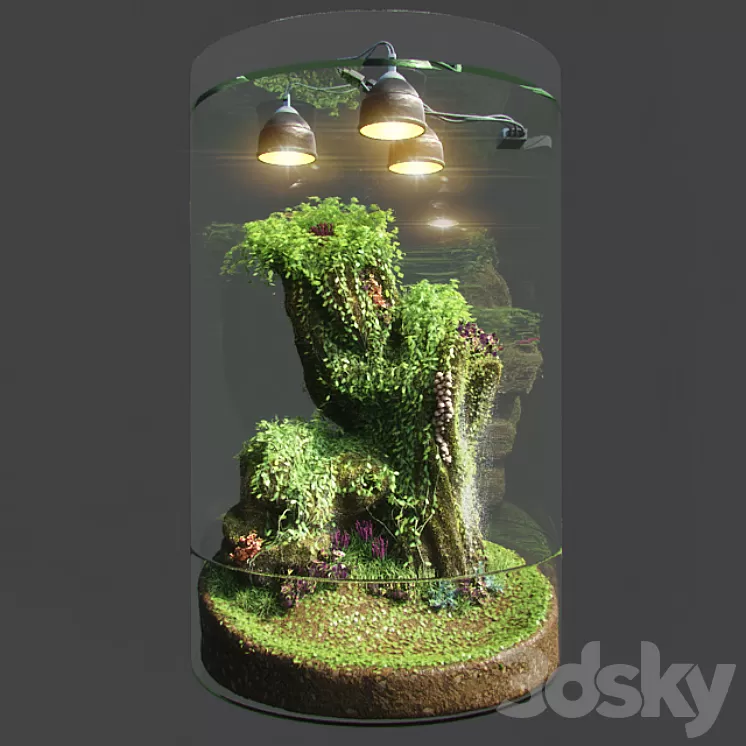 Dwarf Florarium 3D Model