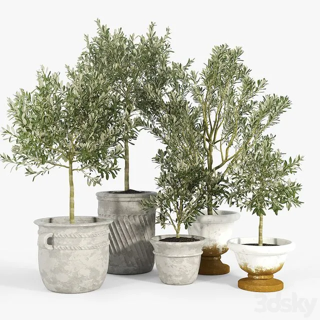 Eclectic Villa Planters 3D Model