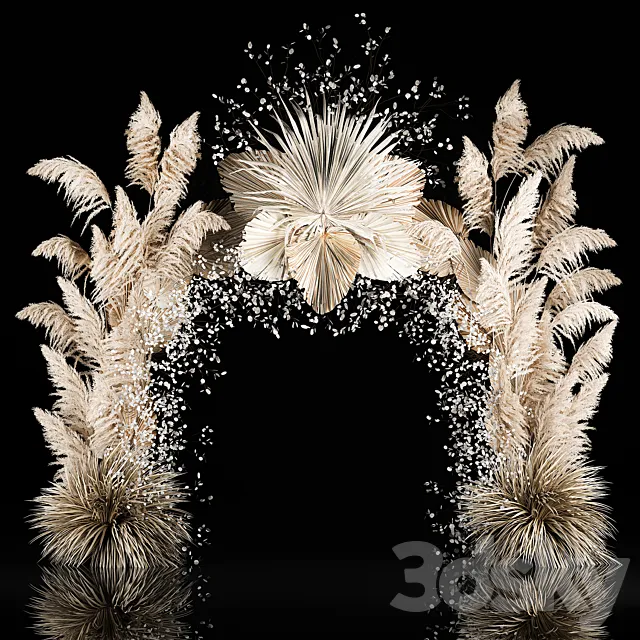 Eco-style wedding arch made of dried flowers and pampas grass Cortaderia moonflower dry palm branch. 5 3D Model