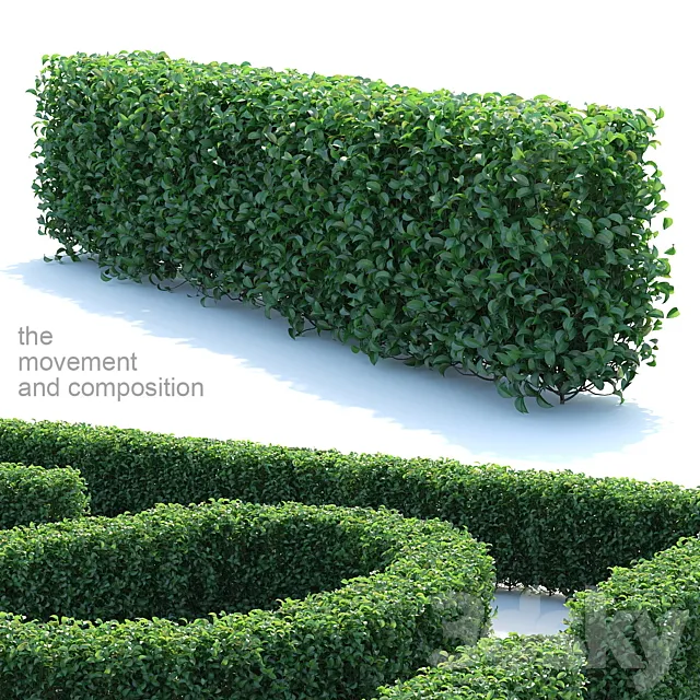 Editable bush ordinary privacy 3D Model