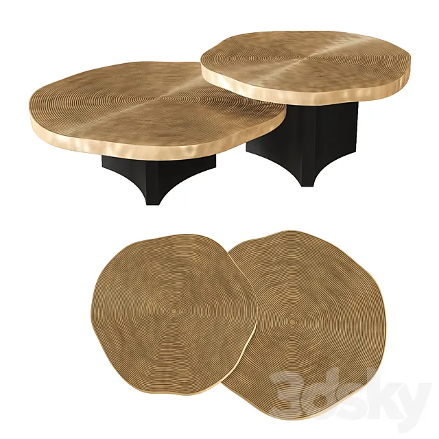 Eichholtz - Coffee Table Thousand Oaks set of 2 3D Model
