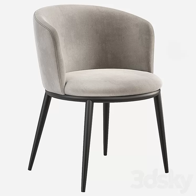 Eichholtz Filmore Dining Chair 3D Model