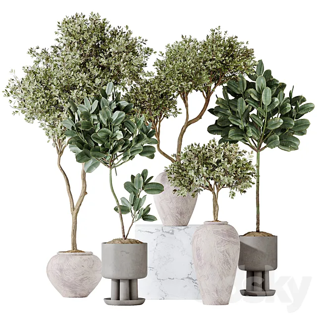 Elastica Abidjan Melany and Mission Olive Tree Vase 18 Free Download