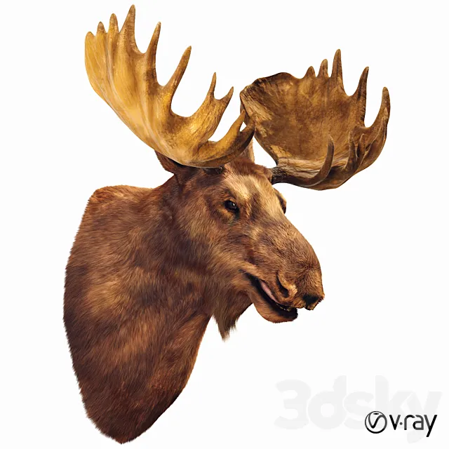 Elk head 3DModel
