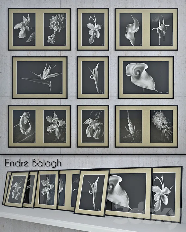 Endre Balogh 3DModel