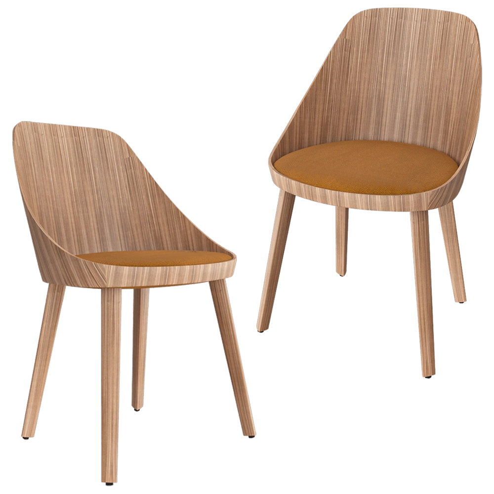 Enea - Chair Kaiak 3D Model