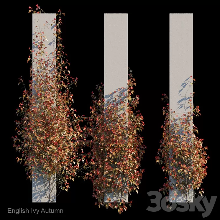 English Ivy Autumn 3D Model