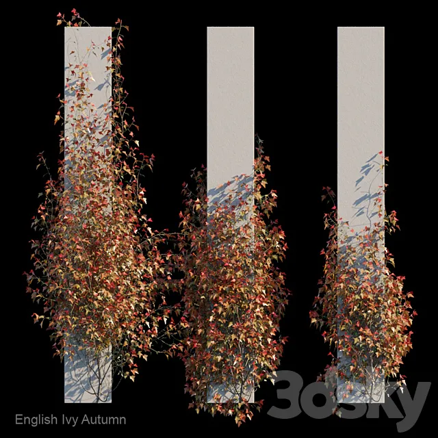 English Ivy Autumn 3DModel