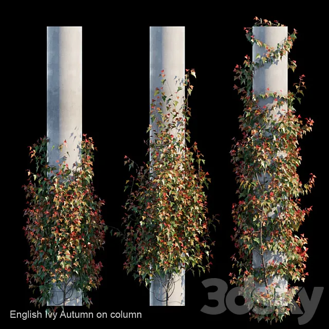 English Ivy Autumn on column 3D Model