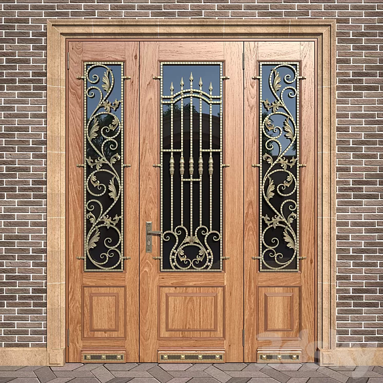 Entrance classic door