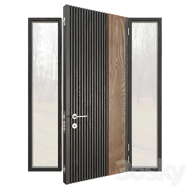 Entrance doors 3D Model