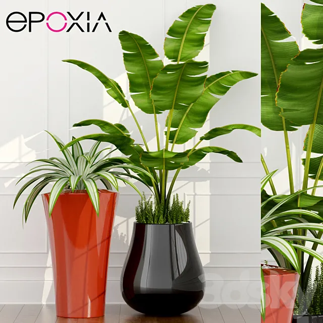 epoxia planters Free Download