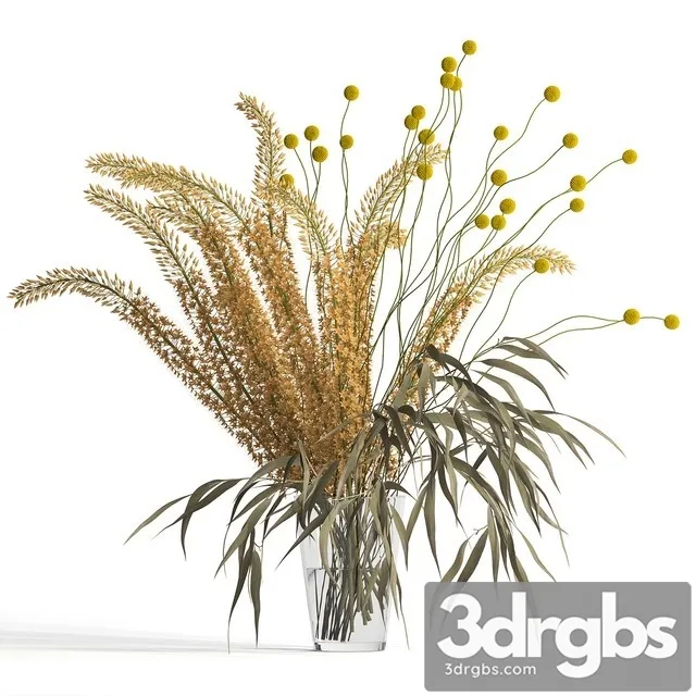Eremurus Eucalyptus Craspedia Bouquet 3D Model Free