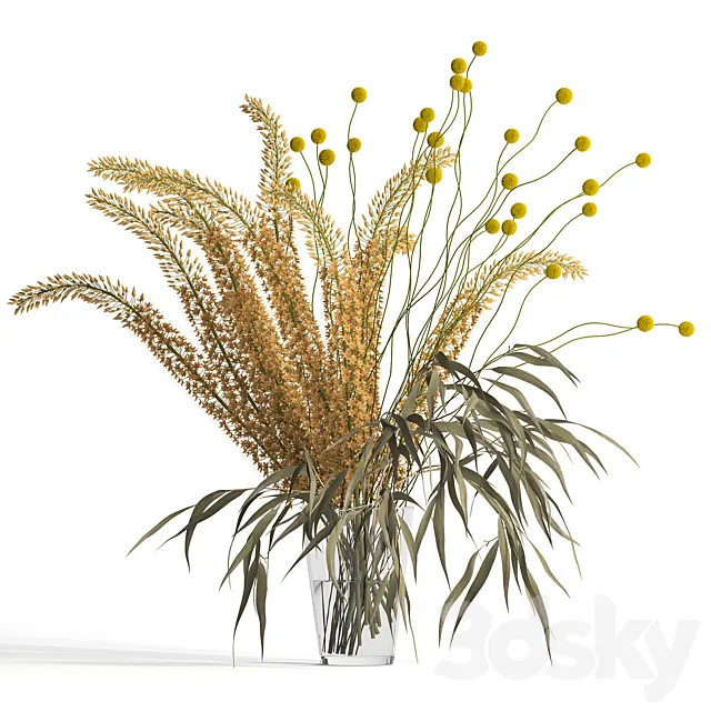 Eremurus & eucalyptus & craspedia bouquet 3DModel