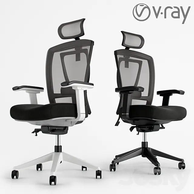 Ergo Office Chair 3D Model