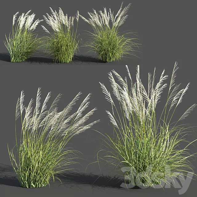 Eriantus of Ravenna 3D Model