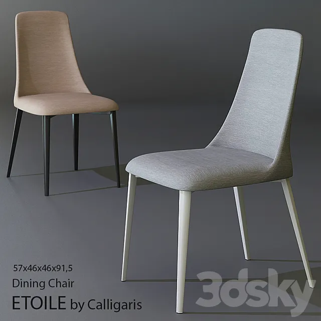 ETOILE 3D Model