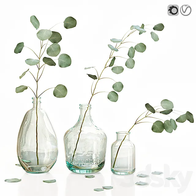 Eucalyptus 2 3D Model