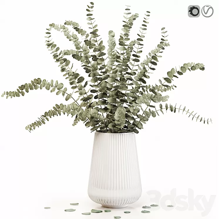 Eucalyptus 3 3D Model