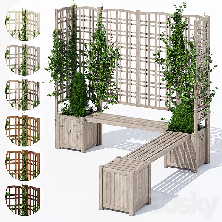 Eucalyptus 3D Model