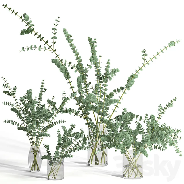 Eucalyptus Baby blue set 3DModel
