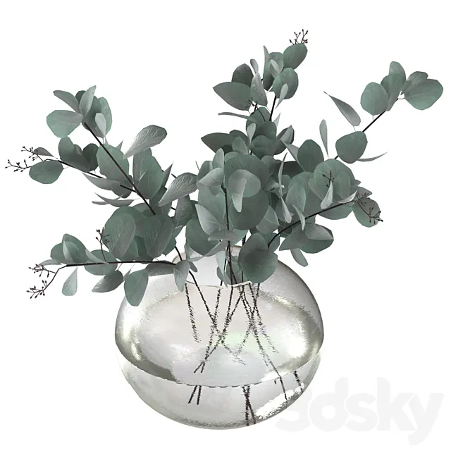 Eucalyptus bouquet 3D Model