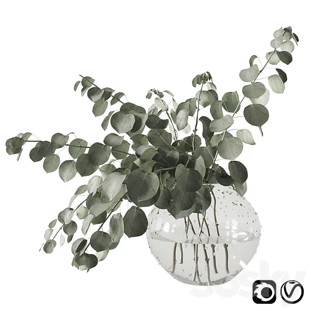 Eucalyptus bouquet 3D Model