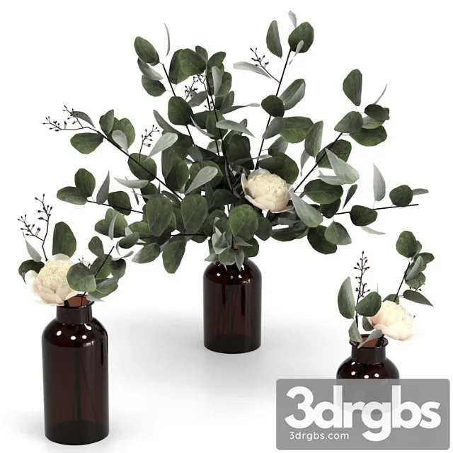 Eucalyptus Bouquets 4 3D Model Free