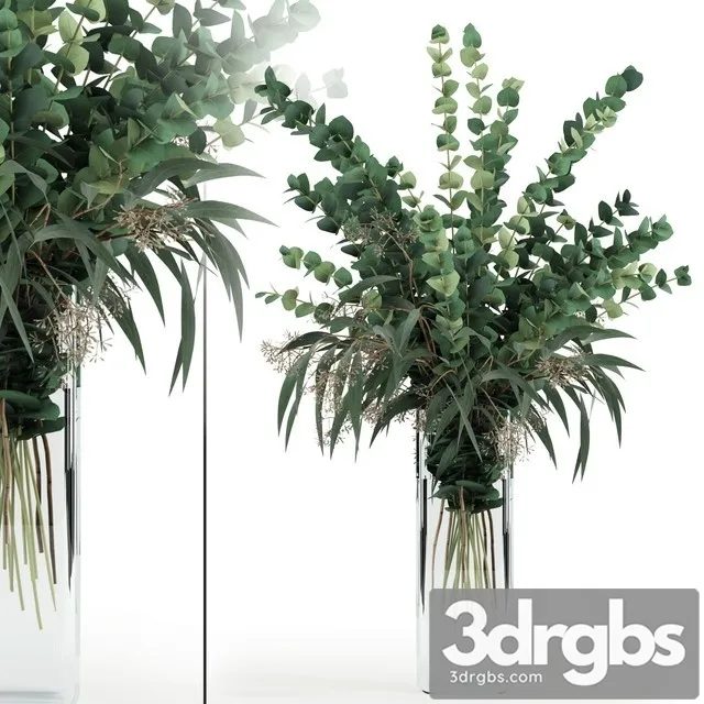 Eucalyptus in Tall Vase 3D Model Free