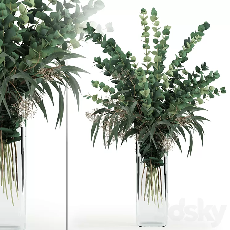 Eucalyptus in tall vase 3D Model