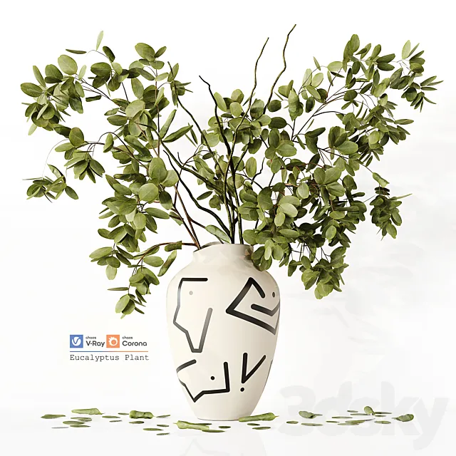 Eucalyptus Plant 3DModel