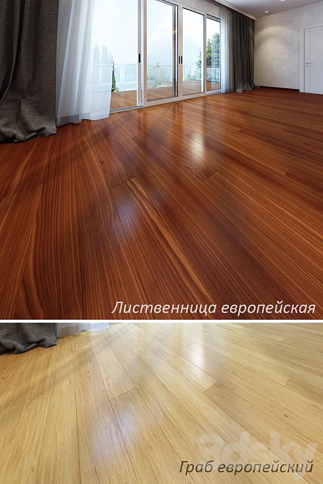 European larch and hornbeam European 3D Model