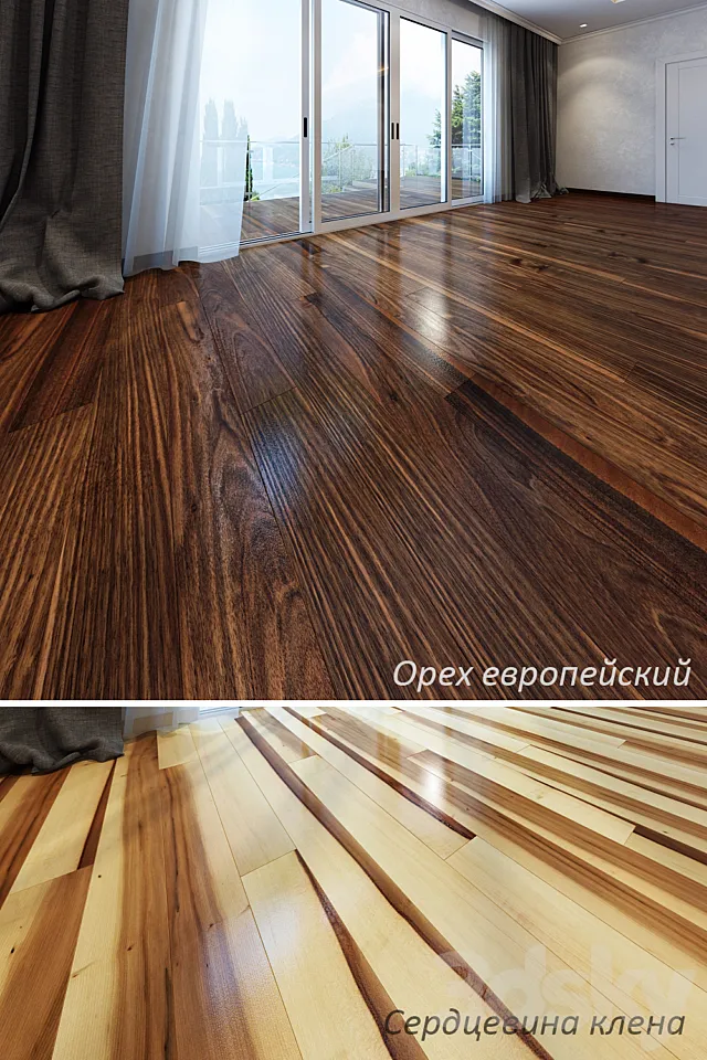 European walnut and maple core 3D Model