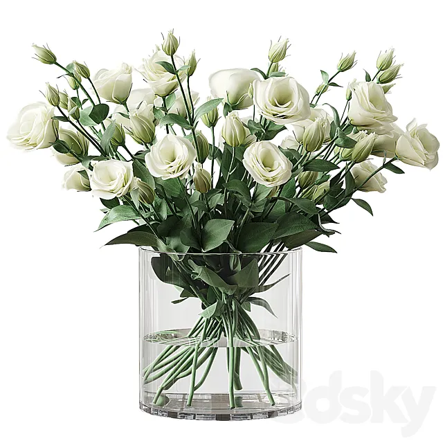 Eustoma 2 3D Model