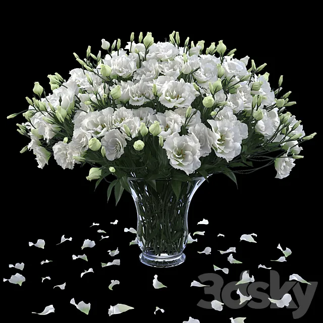 Eustoma 2 3D Model