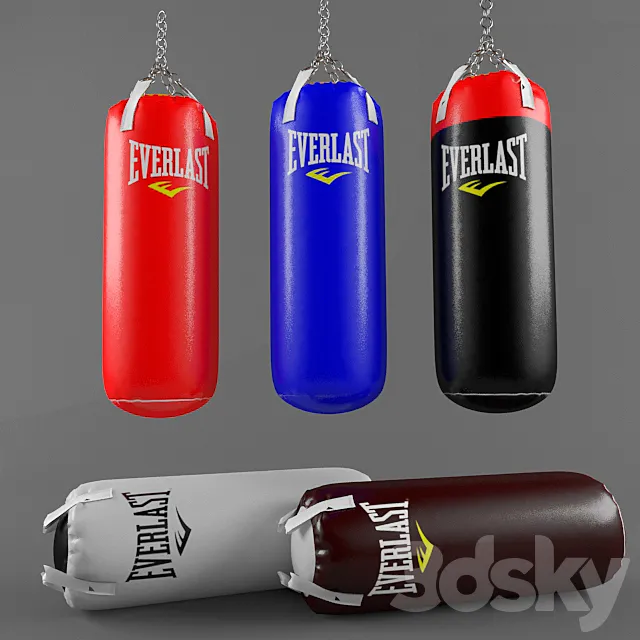 Everlast punching bags Free Download