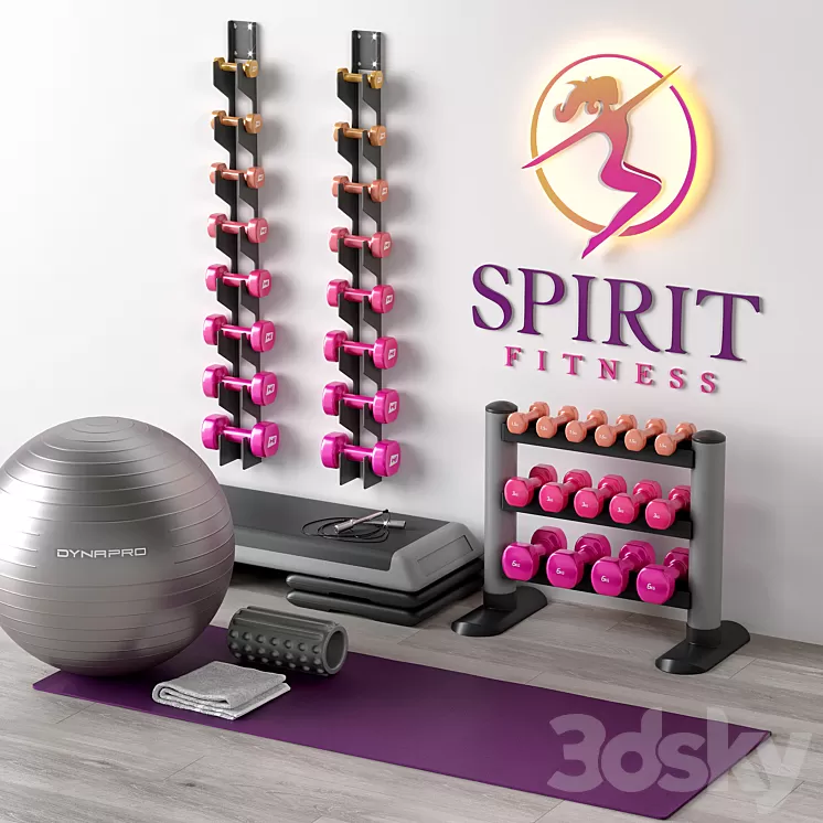 Excellent set for a fitness room. Sport equipment. Set 3D Model Free