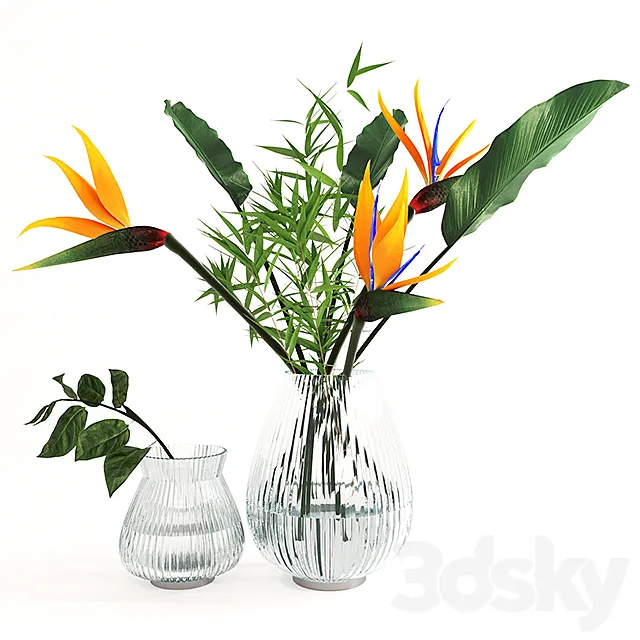 Exotic bouquet- strelitzia 3DModel