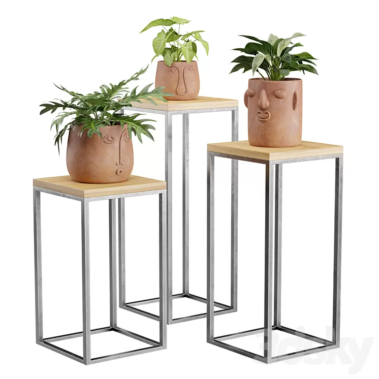 Facepot Terracota Plant Set 3D Model Free