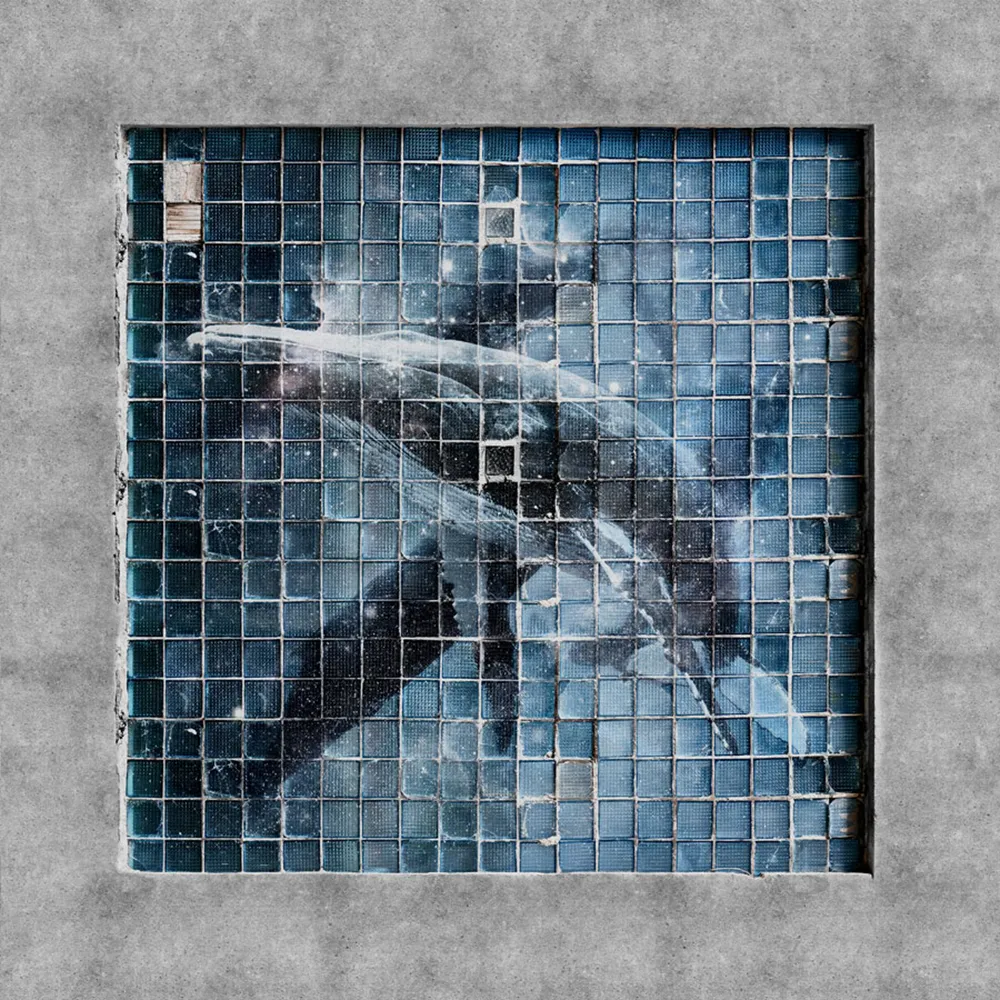 Factura - Blue whale 3D Model