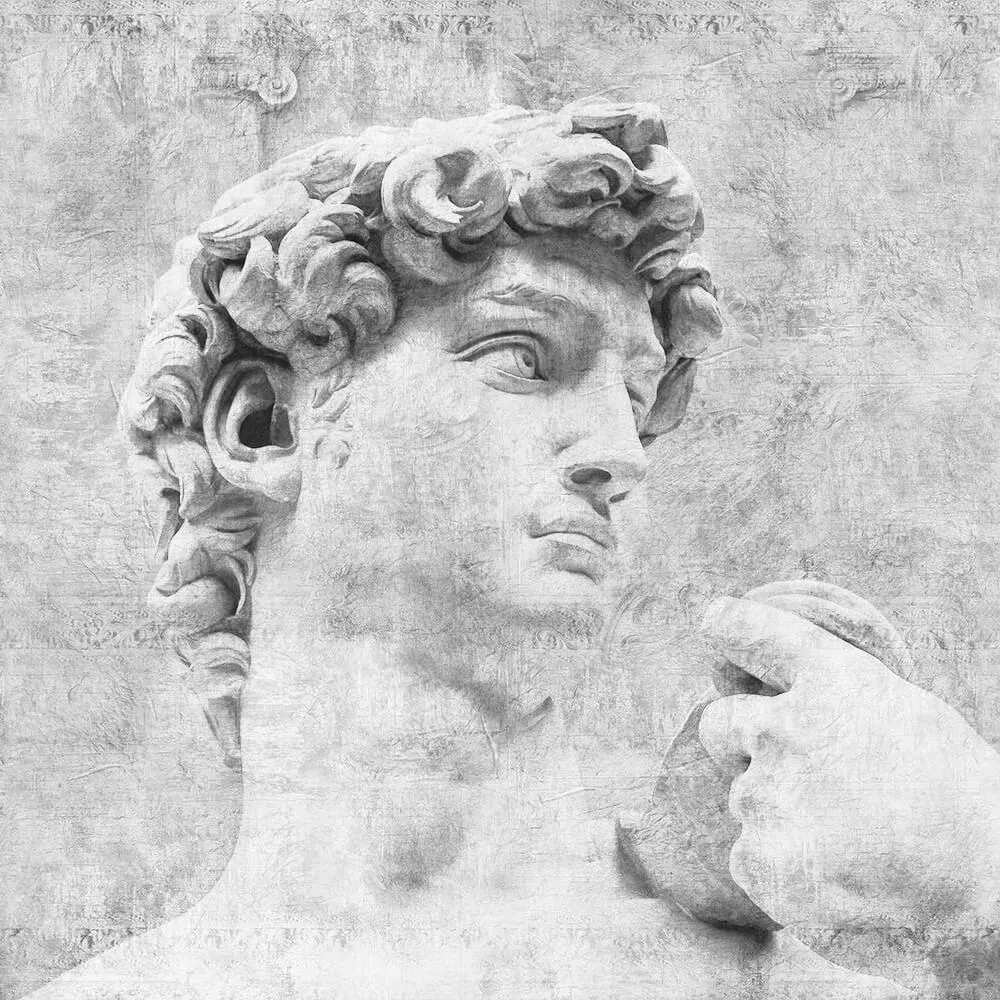 Factura - David 3D Model