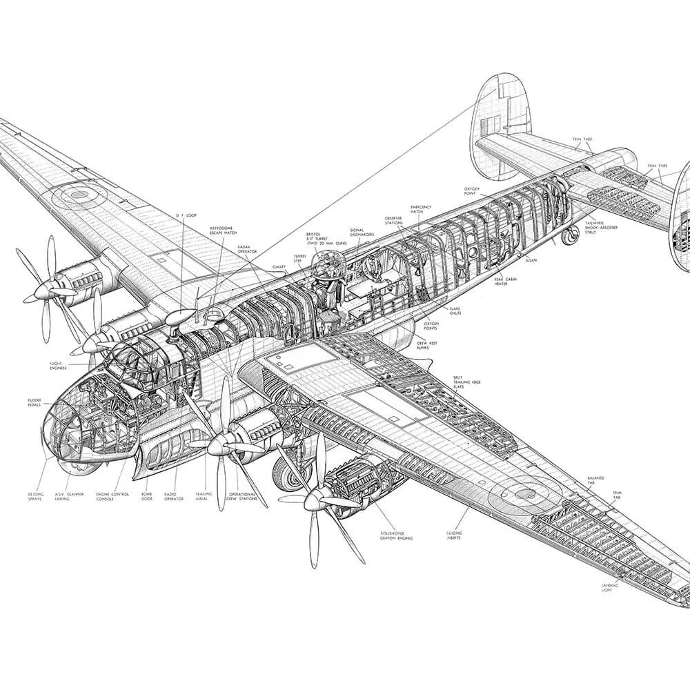 Factura - Drawing - plane 3D Model