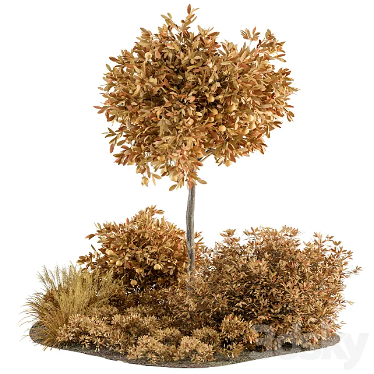 Fall tree and Palm Bush - Outdoor Garden Set 321 3D Model Free