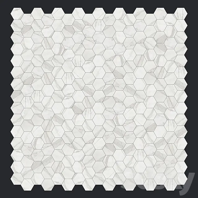 Fap Roma Calacatta Esagono 3D Model