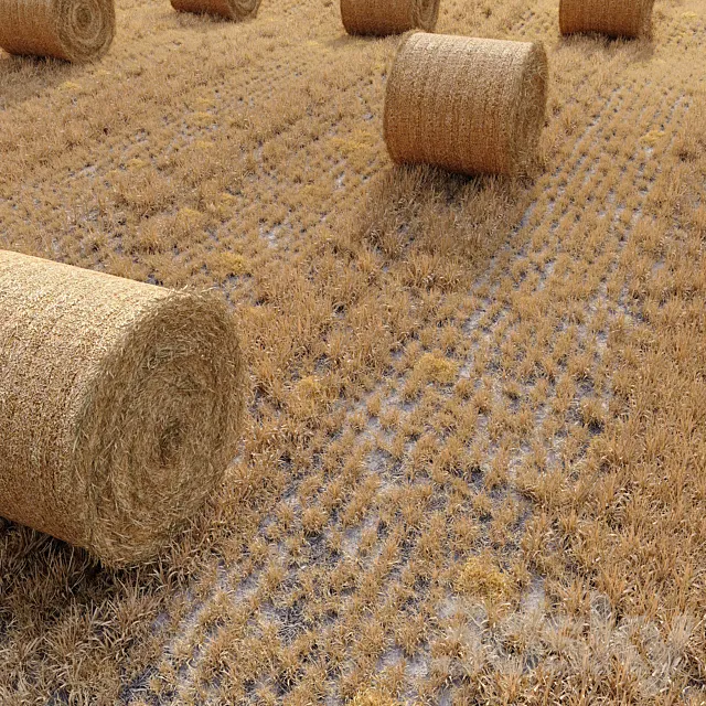 Farm field with hay bale 3DModel
