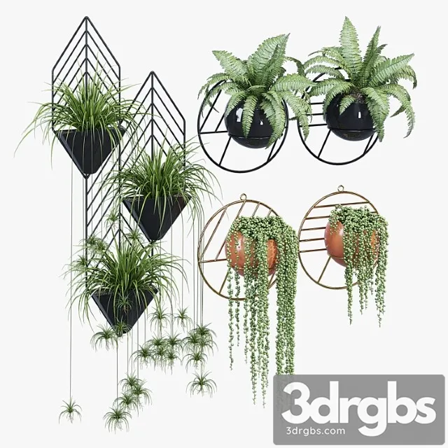 Fegan Dayne 3D Model Free