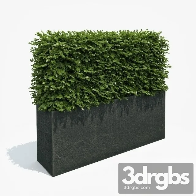 Fence Potted Plants 3D Model Free