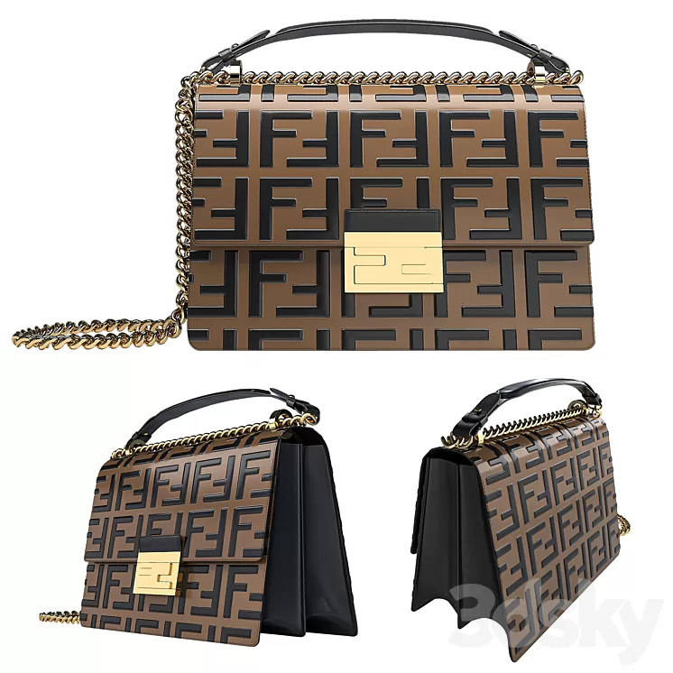 Fendi bags KAN U