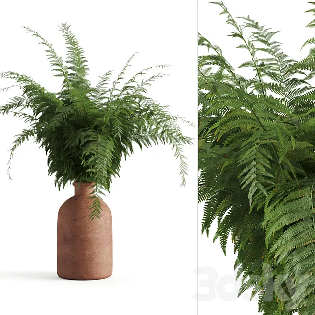 Fern in a clay vase Free Download